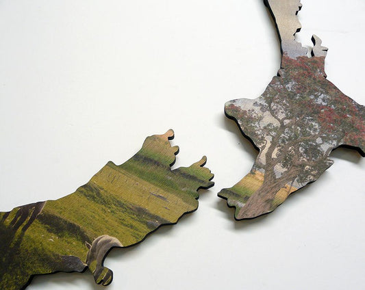 Farm Scene NZ Wood Print - revamped-records - vinyl-record-art