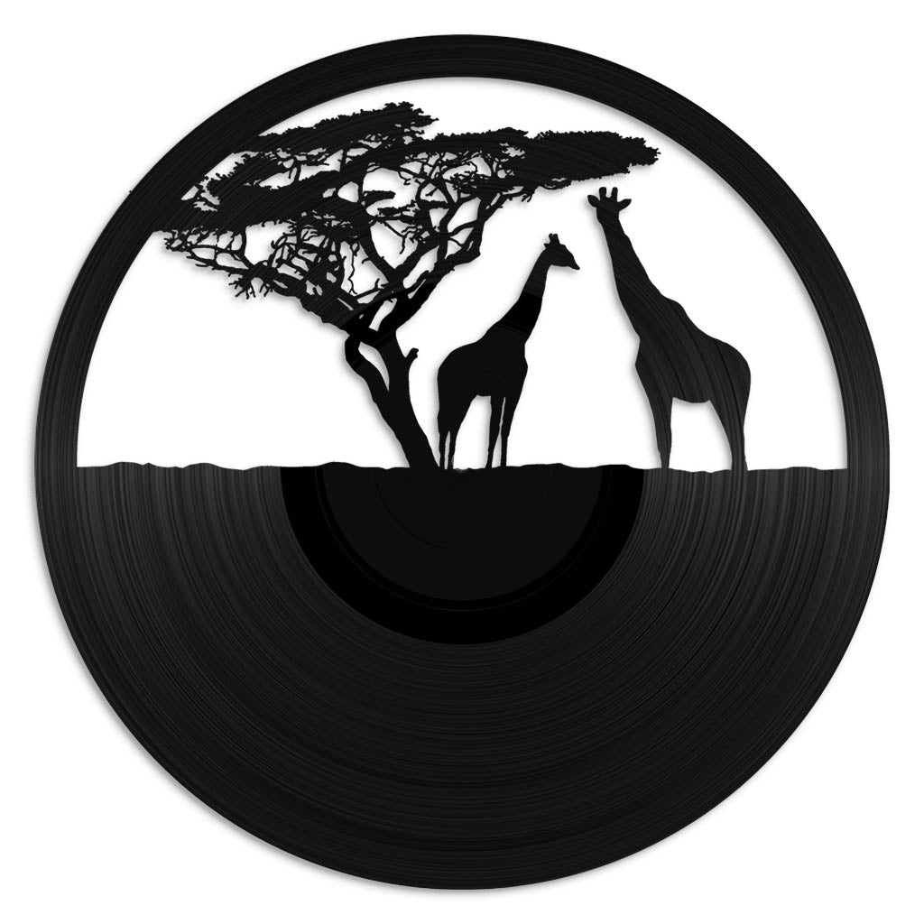 African Giraffes